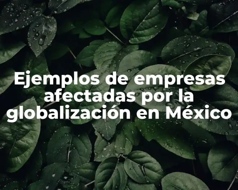 Ejemplos de empresas afectadas por la globalización en México