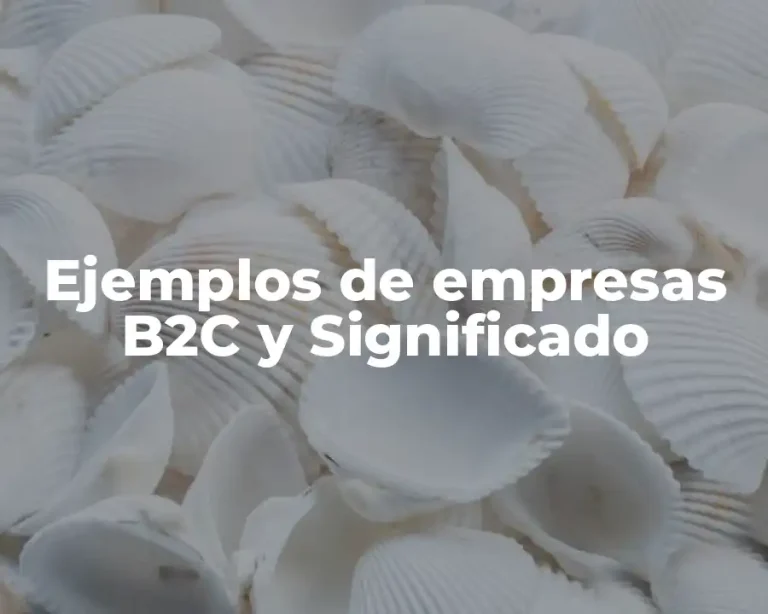 Ejemplos de empresas B2C y Significado