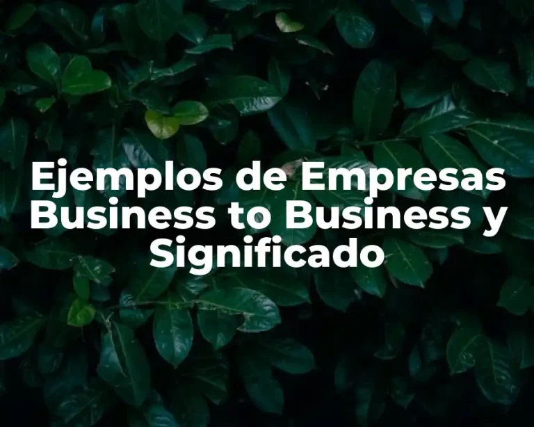 Ejemplos de Empresas Business to Business y Significado