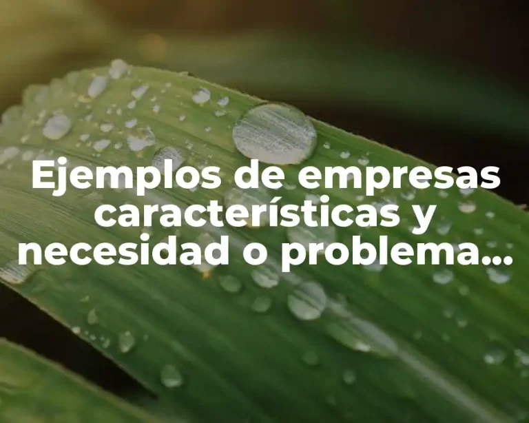 Ejemplos de empresas características y necesidad o problema que satisface