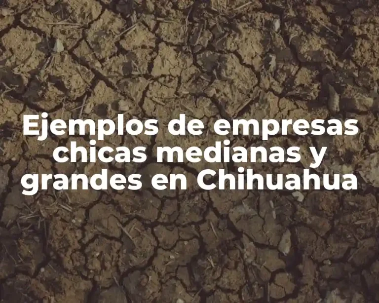 Ejemplos de empresas chicas medianas y grandes en Chihuahua