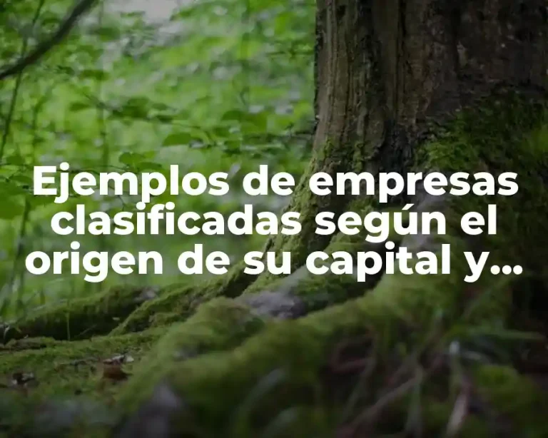 Ejemplos de empresas clasificadas según el origen de su capital y Significado