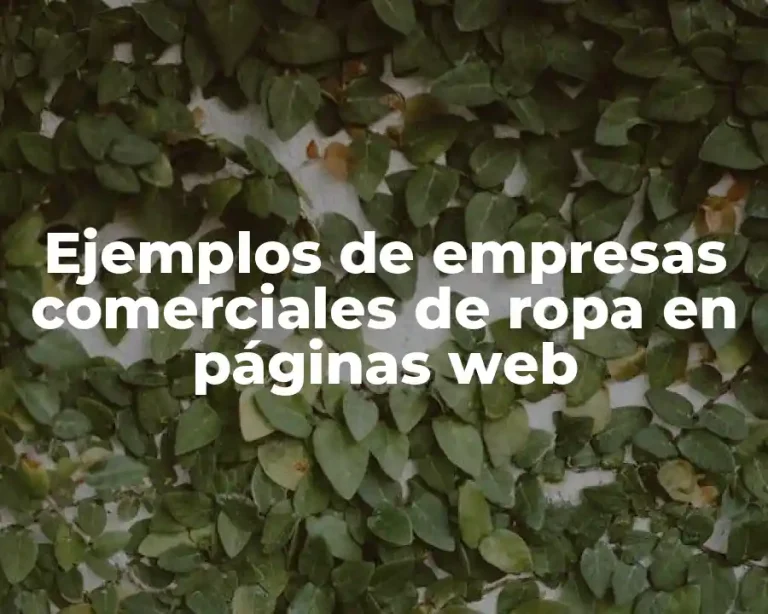 Ejemplos de empresas comerciales de ropa en páginas web