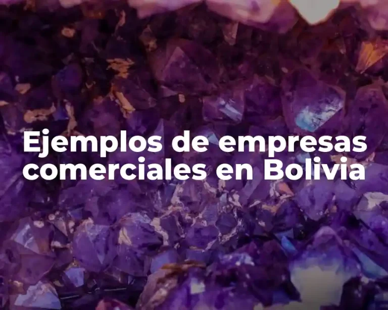 Ejemplos de empresas comerciales en Bolivia