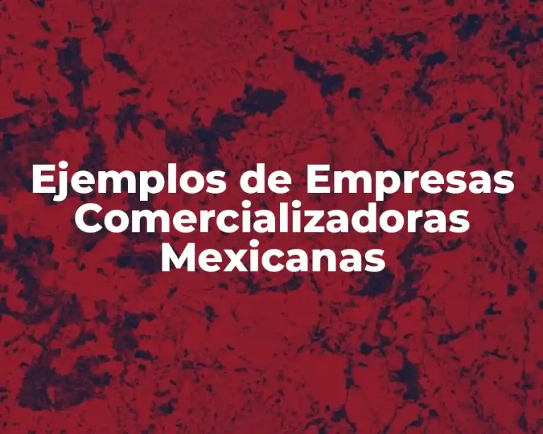 Ejemplos de Empresas Comercializadoras Mexicanas
