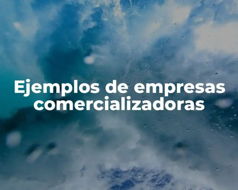 Ejemplos de empresas comercializadoras