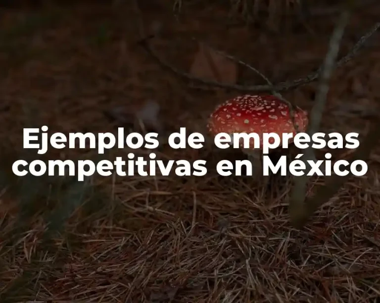 Ejemplos de empresas competitivas en México