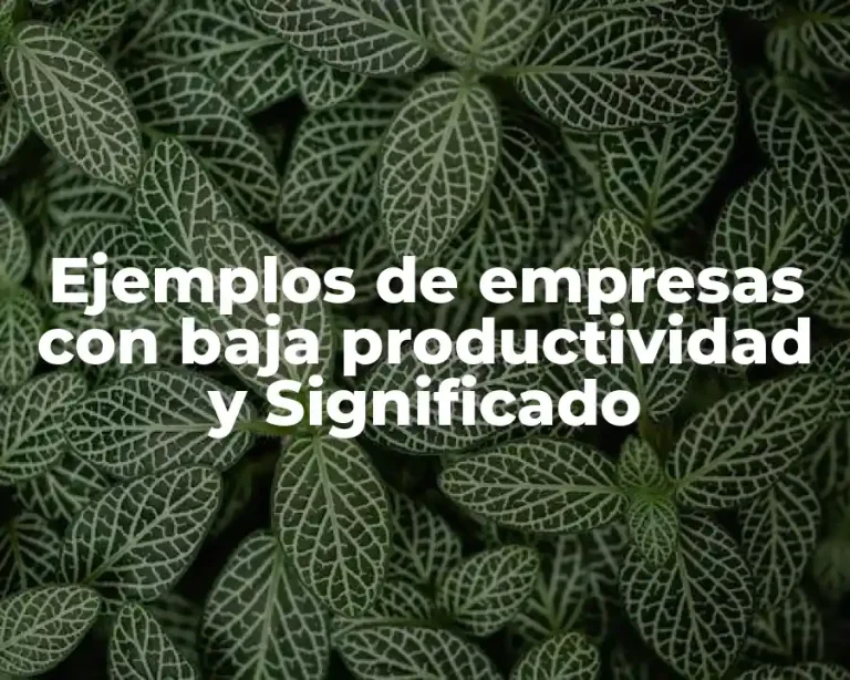 Ejemplos de empresas con baja productividad y Significado