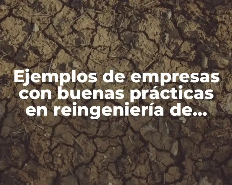 Ejemplos de empresas con buenas prácticas en reingeniería de procesos
