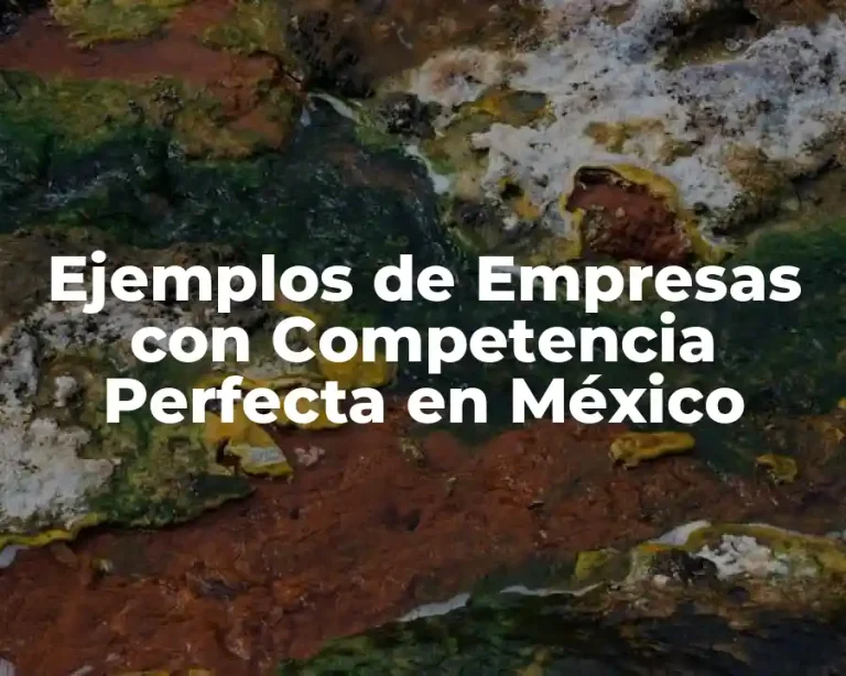 Ejemplos de Empresas con Competencia Perfecta en México
