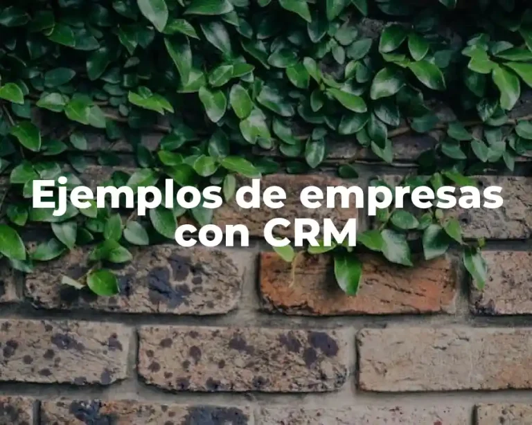Ejemplos de empresas con CRM