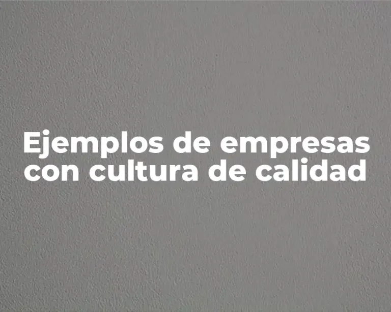 Ejemplos de empresas con cultura de calidad