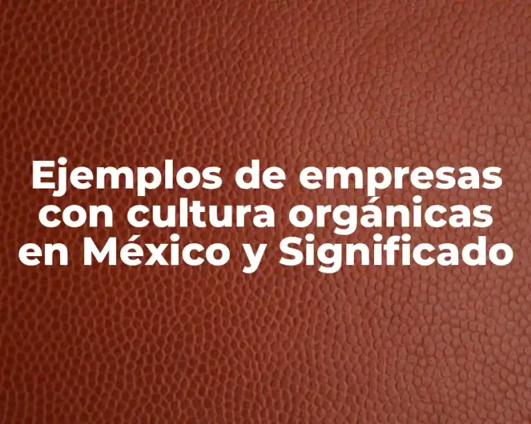 Ejemplos de empresas con cultura orgánicas en México y Significado