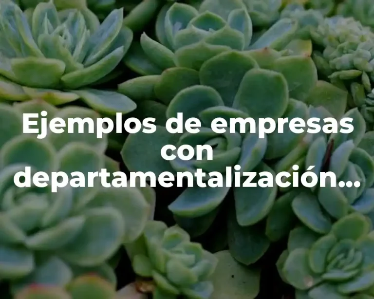 Ejemplos de empresas con departamentalización por territorio o geografía