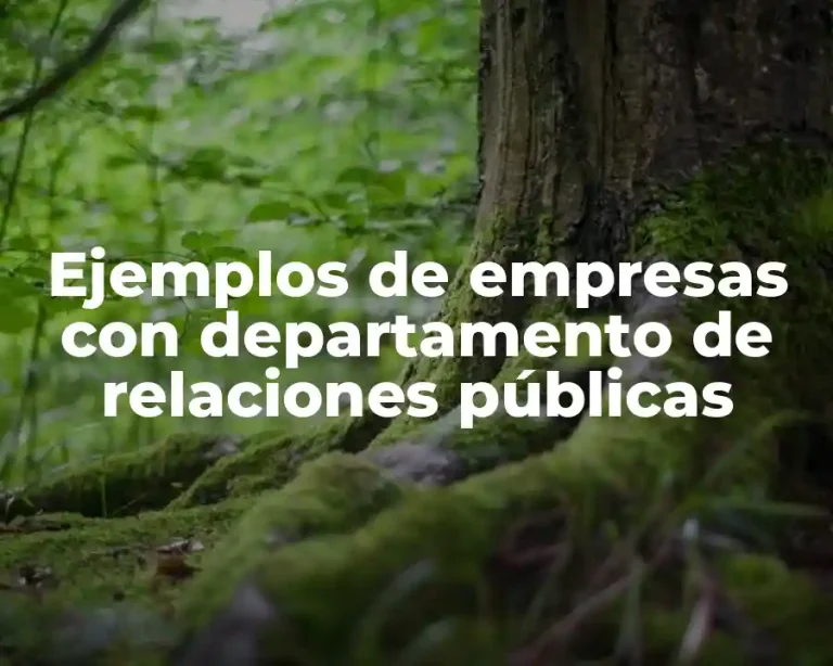 Ejemplos de empresas con departamento de relaciones públicas