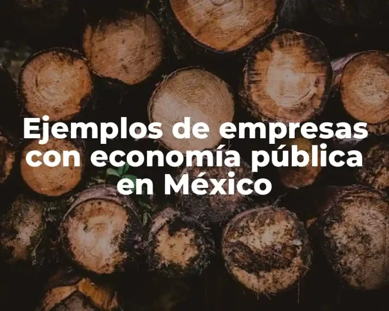 Ejemplos de empresas con economía pública en México