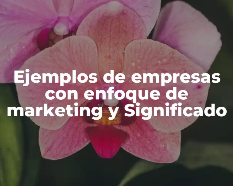 Ejemplos de empresas con enfoque de marketing y Significado