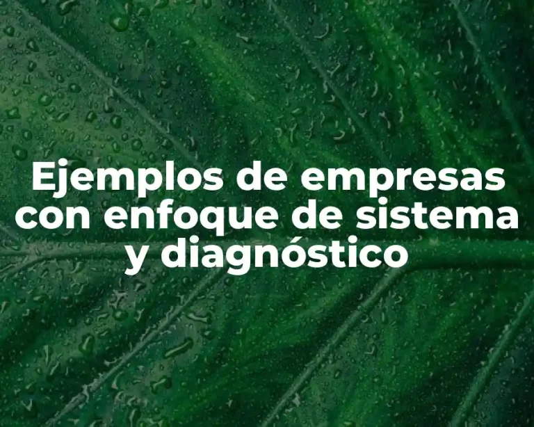 Ejemplos de empresas con enfoque de sistema y diagnóstico