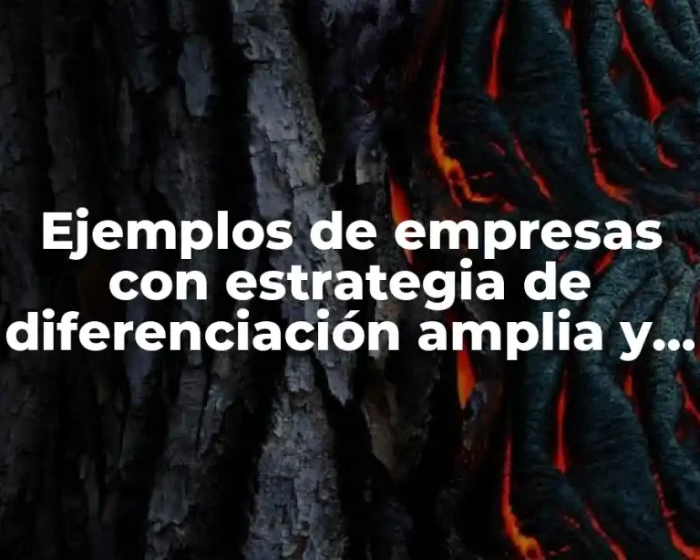 Ejemplos de empresas con estrategia de diferenciación amplia y Significado