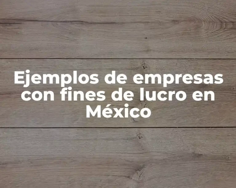 Ejemplos de empresas con fines de lucro en México