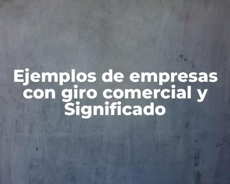 Ejemplos de empresas con giro comercial y Significado