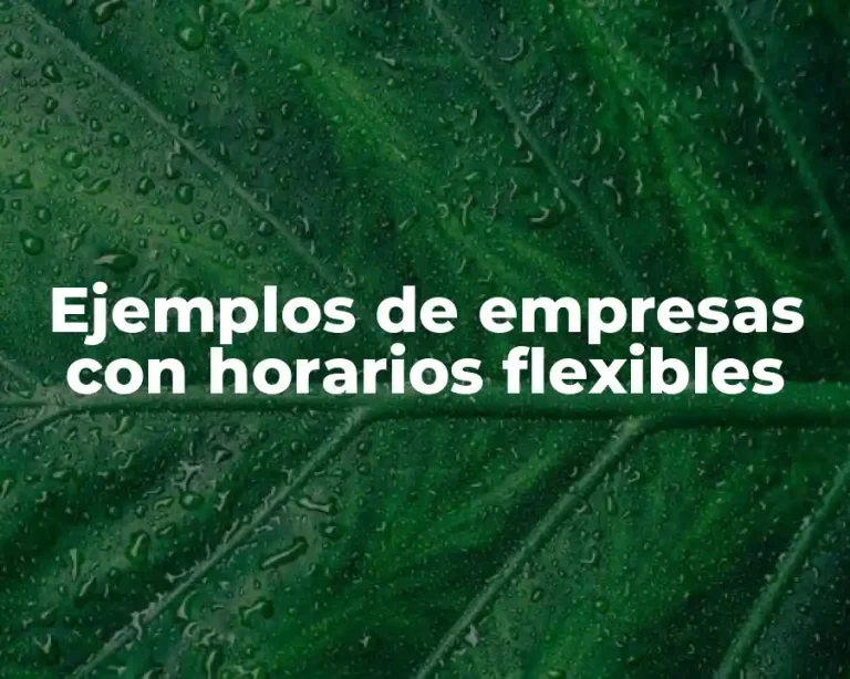 Ejemplos de empresas con horarios flexibles