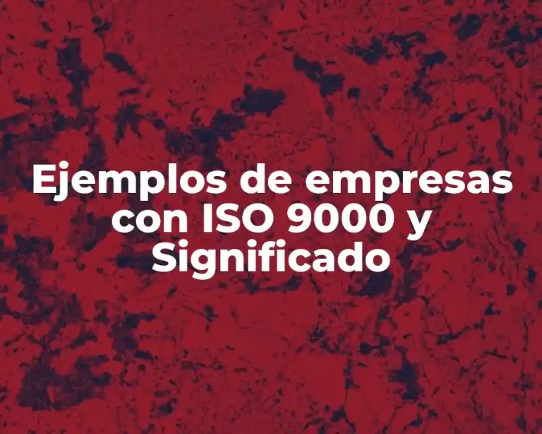 Ejemplos de empresas con ISO 9000 y Significado