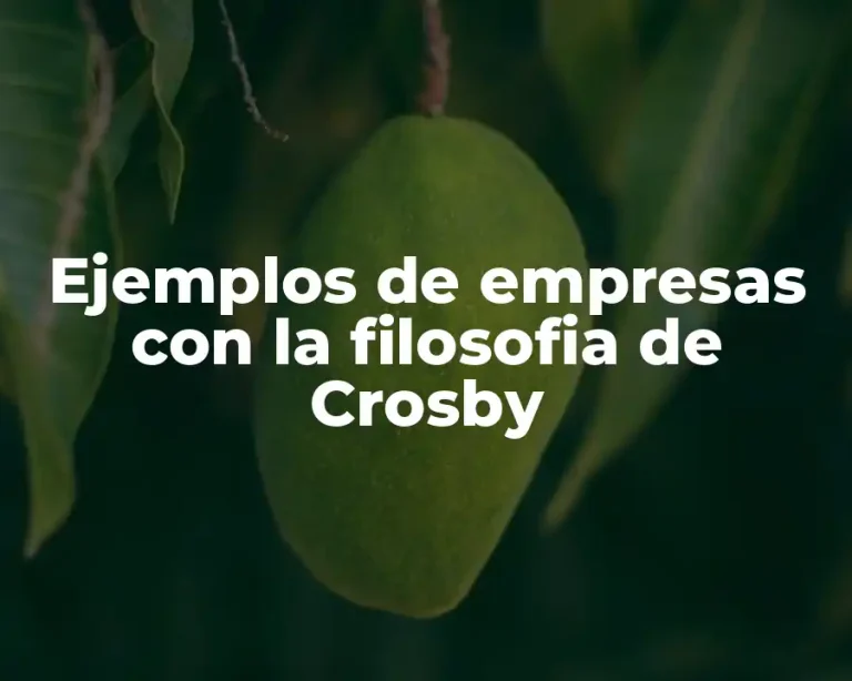 Ejemplos de empresas con la filosofia de Crosby