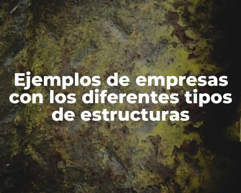 Ejemplos de empresas con los diferentes tipos de estructuras