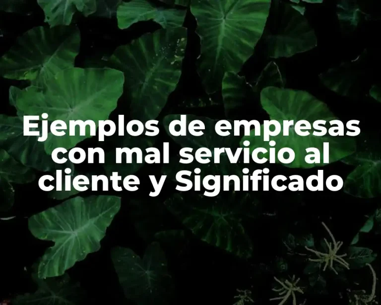 Ejemplos de empresas con mal servicio al cliente y Significado