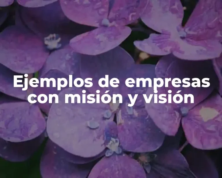 Ejemplos de empresas con misión y visión