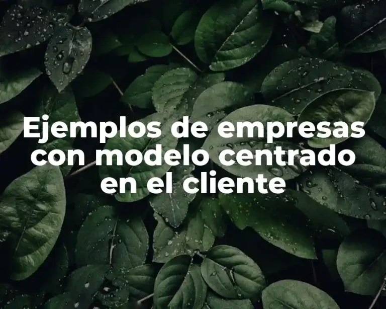 Ejemplos de empresas con modelo centrado en el cliente