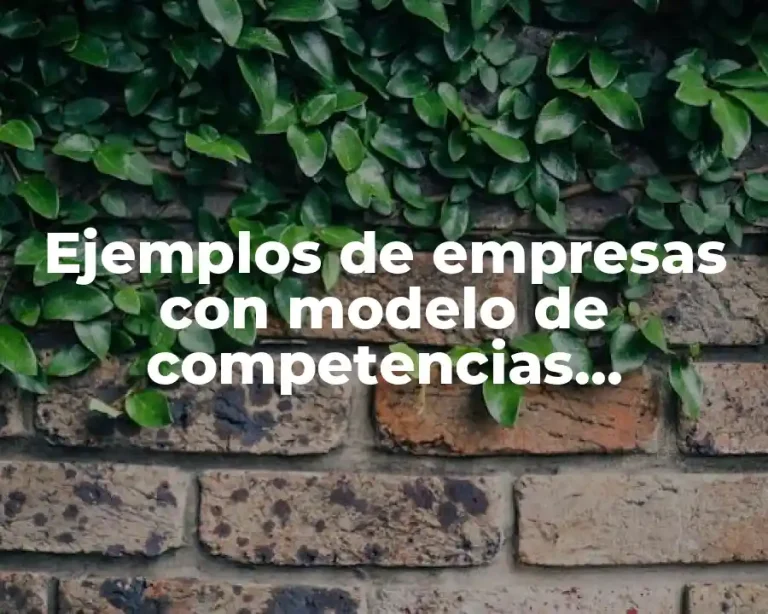Ejemplos de empresas con modelo de competencias colaborativo