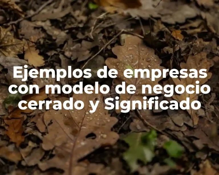 Ejemplos de empresas con modelo de negocio cerrado y Significado