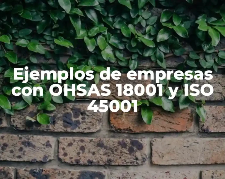 Ejemplos de empresas con OHSAS 18001 y ISO 45001