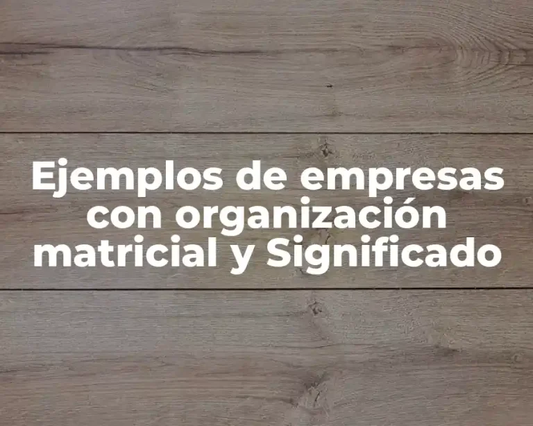 Ejemplos de empresas con organización matricial y Significado