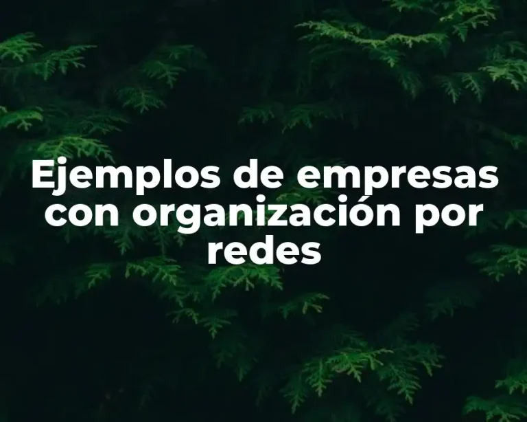 Ejemplos de empresas con organización por redes