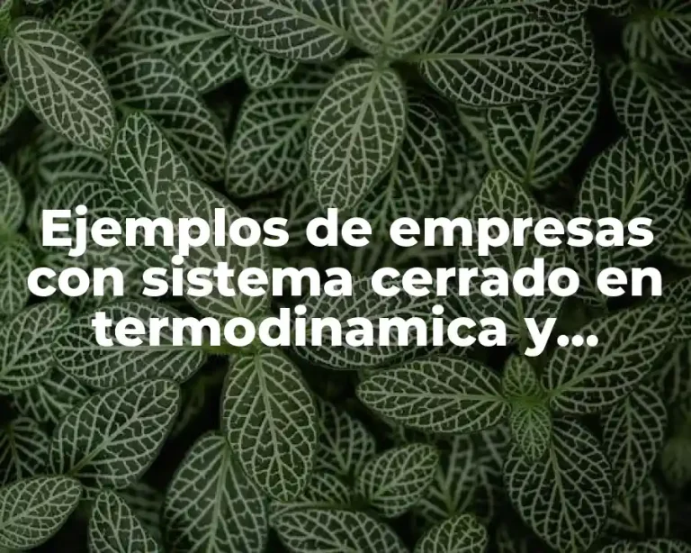 Ejemplos de empresas con sistema cerrado en termodinamica y Significado