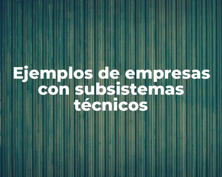 Ejemplos de empresas con subsistemas técnicos