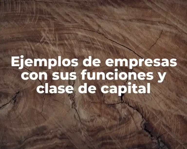 Ejemplos de empresas con sus funciones y clase de capital