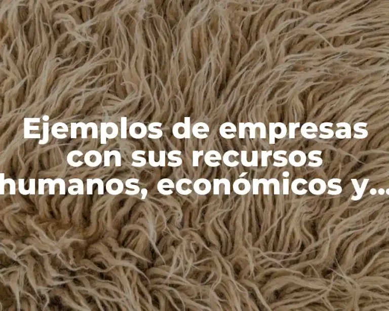 Ejemplos de empresas con sus recursos humanos, económicos y tecnológicos