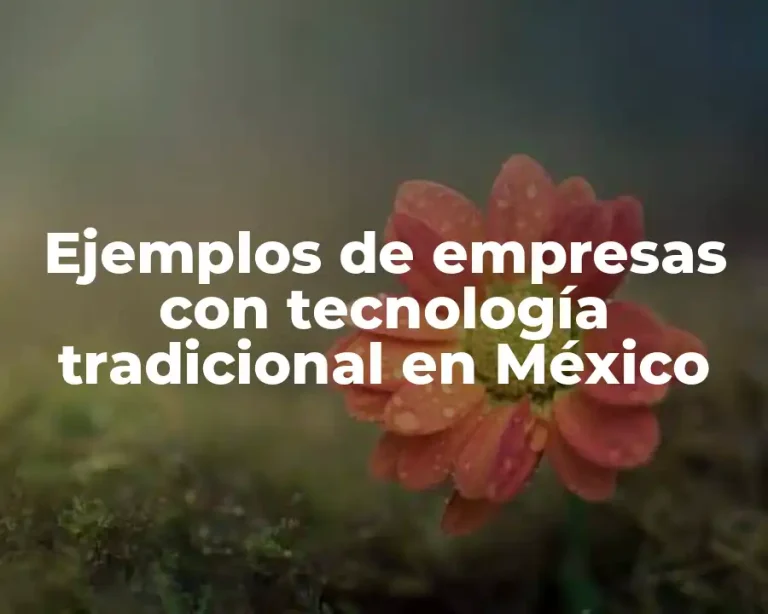 Ejemplos de empresas con tecnología tradicional en México