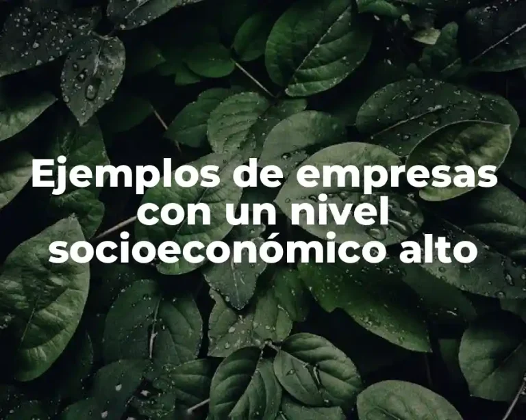 Ejemplos de empresas con un nivel socioeconómico alto