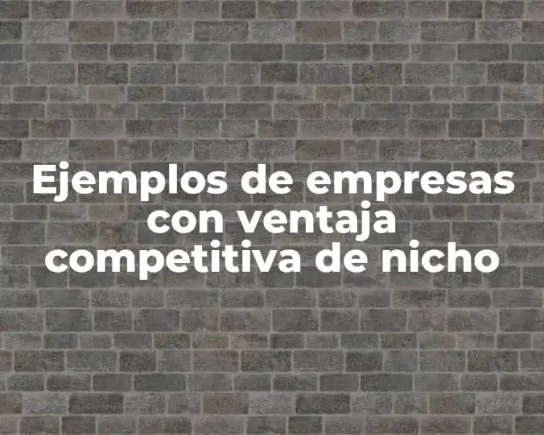 Ejemplos de empresas con ventaja competitiva de nicho