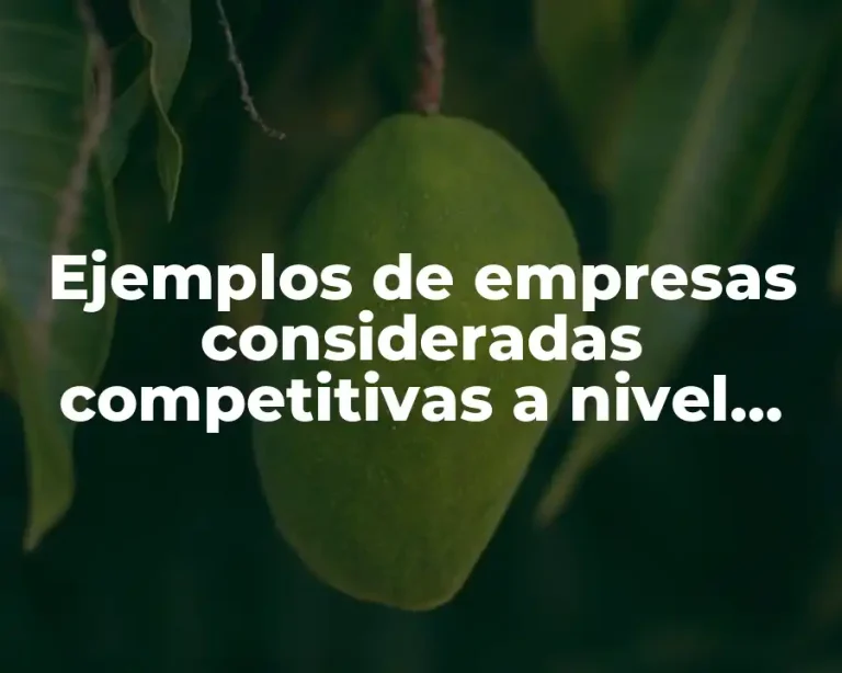 Ejemplos de empresas consideradas competitivas a nivel nacional