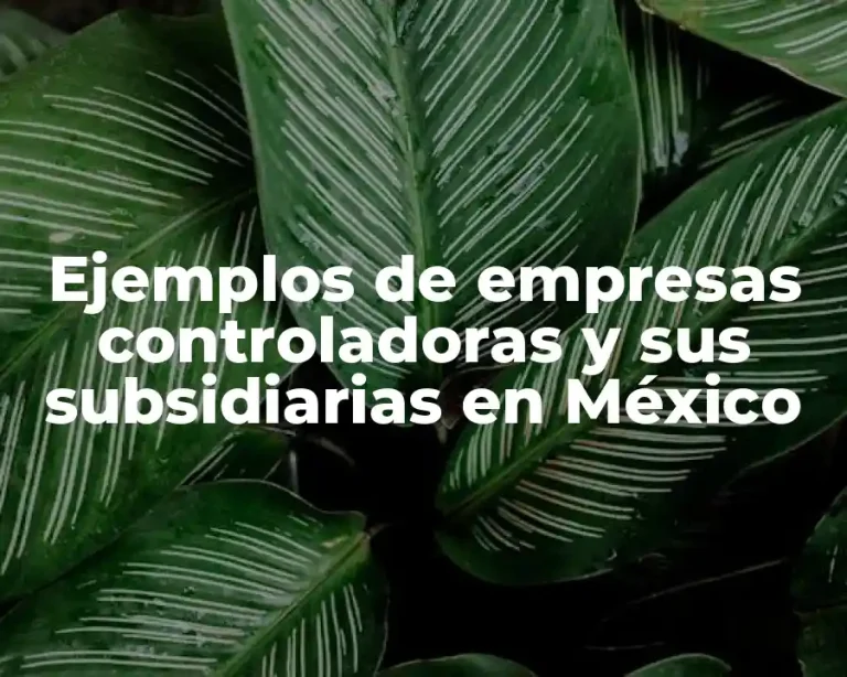 Ejemplos de empresas controladoras y sus subsidiarias en México