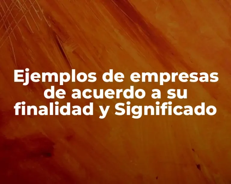 Ejemplos de empresas de acuerdo a su finalidad y Significado