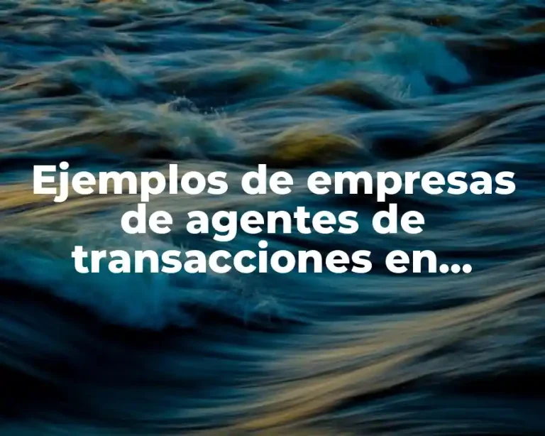 Ejemplos de empresas de agentes de transacciones en internet