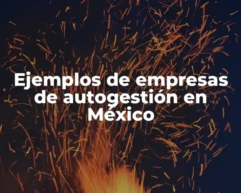 Ejemplos de empresas de autogestión en México