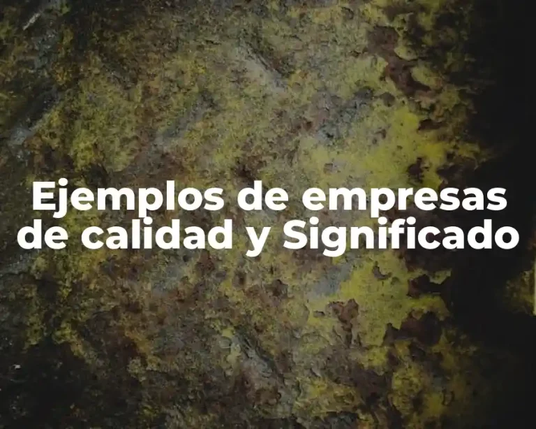 Ejemplos de empresas de calidad y Significado